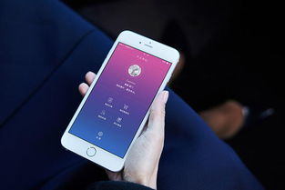 護壹智能還款APP開發(fā) 智能化還款與守信管理新利器