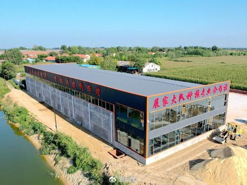 高密市大牟家鎮(zhèn)展家村黨支部領(lǐng)辦合作社 以垃圾經(jīng)營服務(wù)撬動區(qū)域共富新路徑